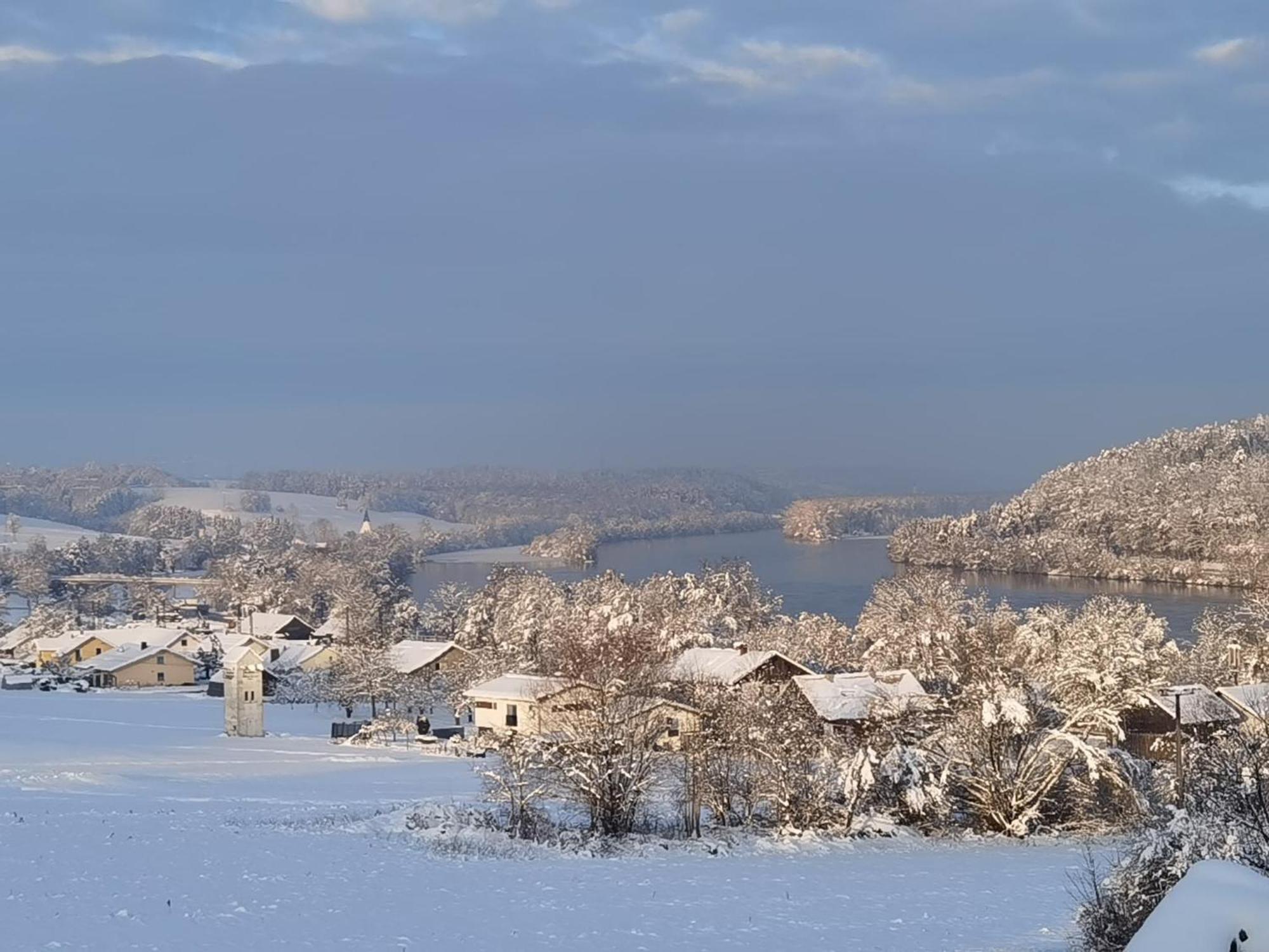 Appartamento Mitterfelder Donaublick Vilshofen an der Donau Esterno foto
